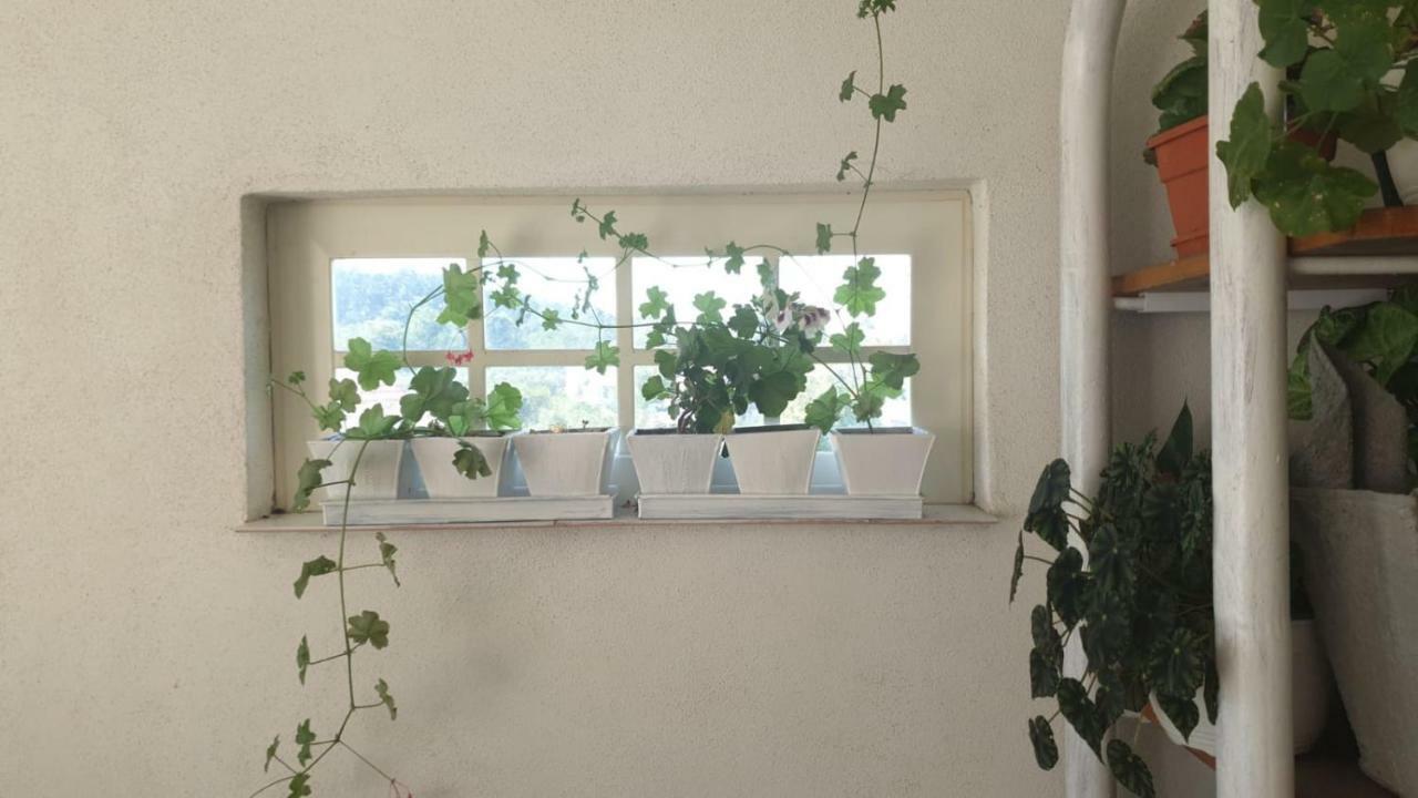 La Curtea Argeseana Apartment Valea Iasului Exterior foto