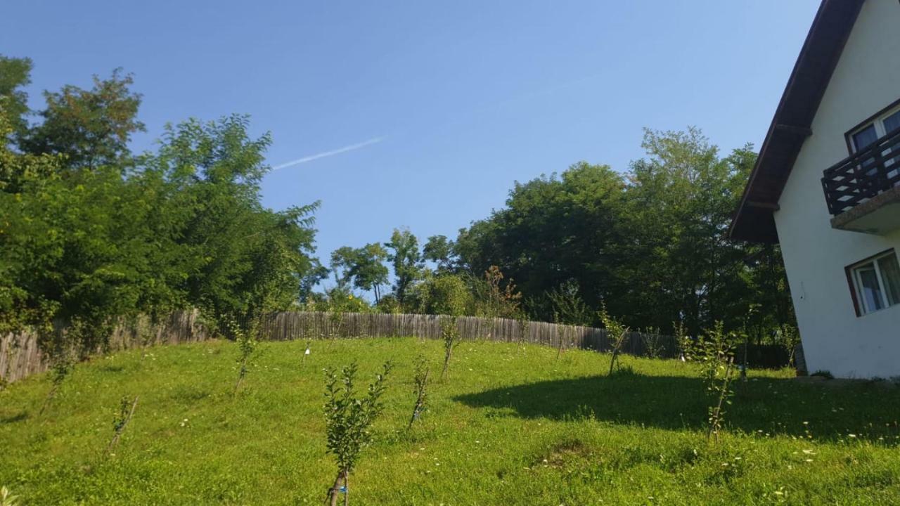 La Curtea Argeseana Apartment Valea Iasului Exterior foto